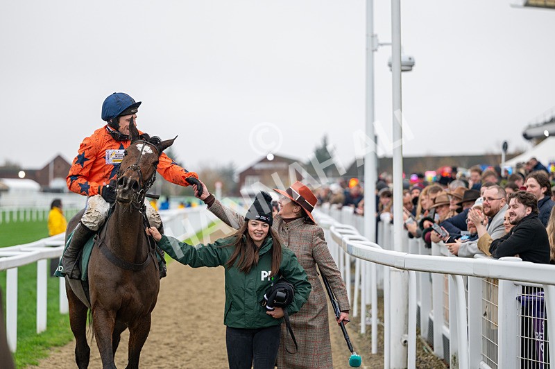 151125-Race 4-Panic Attack-0896 - Race 4