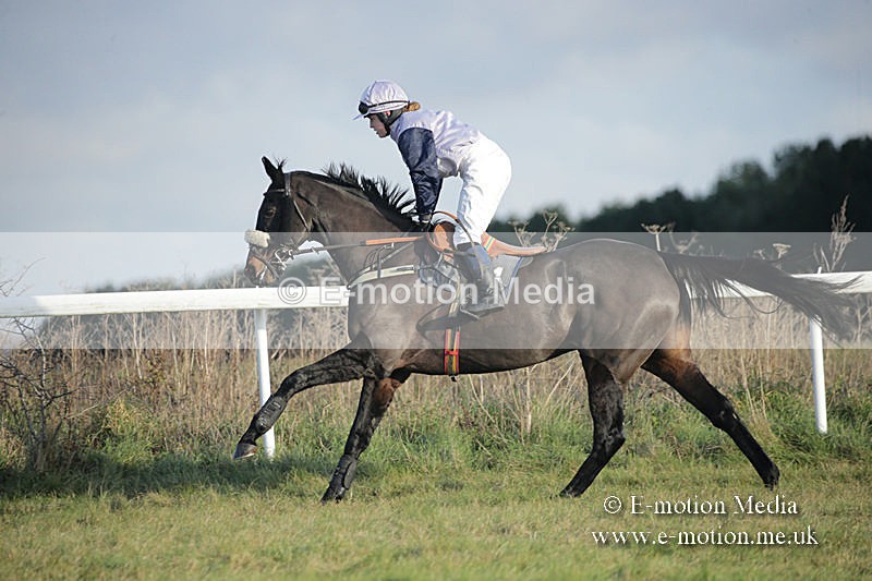PtP 011219-0274 - Hursley Hambledon Hunt Point-to-Point 01/12/19
