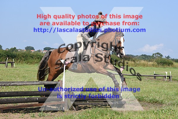 SNCP_0166 - N Group