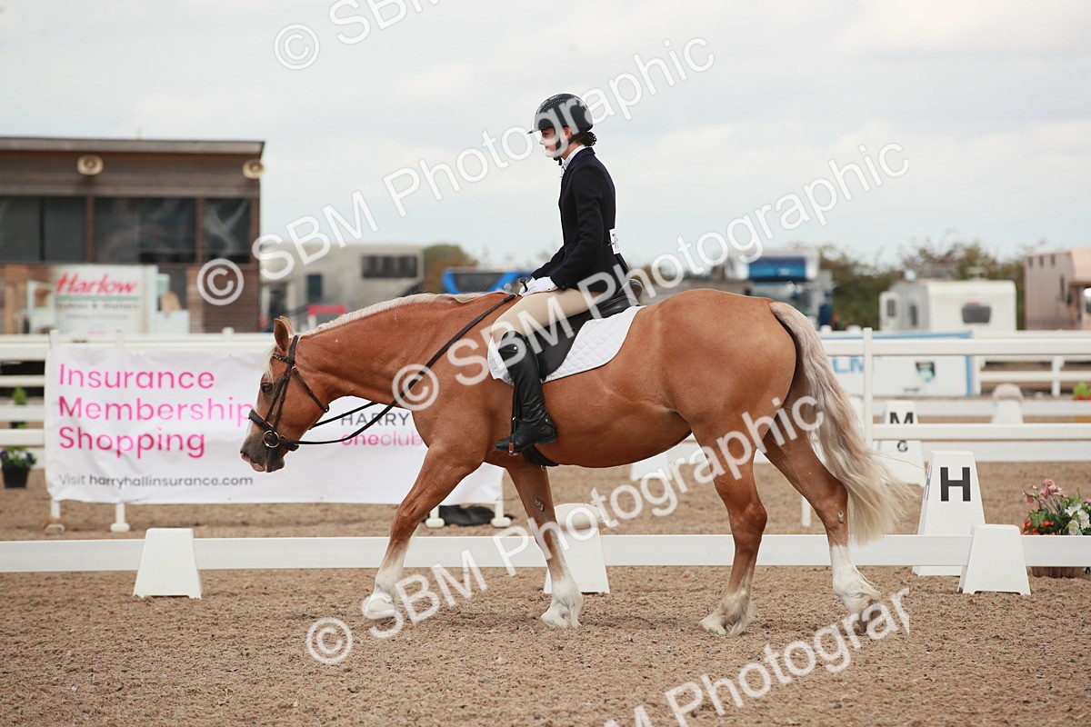 SBM_05908 - Class 32 - Novice 1