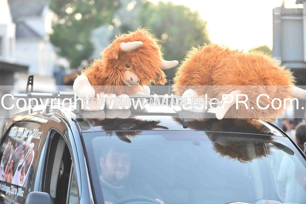 SH4_3968 - Carnival Procession.