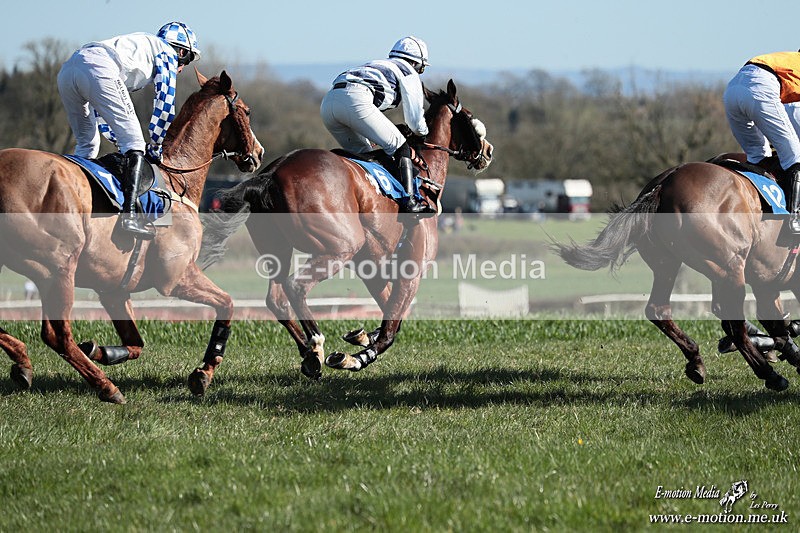 PtP 210326 504 - VWH Cirencester Races 21/03/26