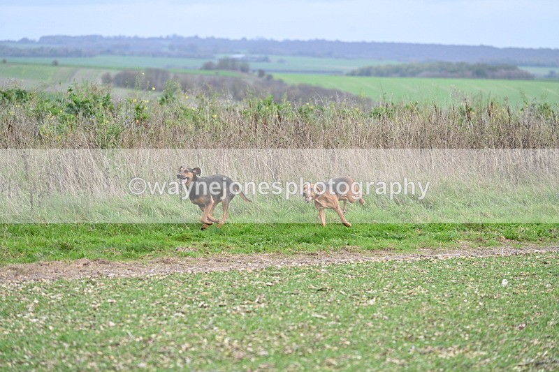 WJ7_2547 - Camera A