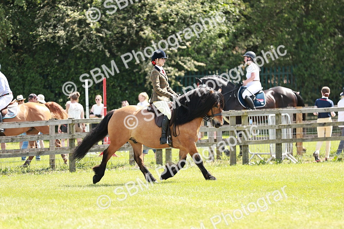 SBM_07038 - Class 26-30 - Mountain and Moorland Ridden