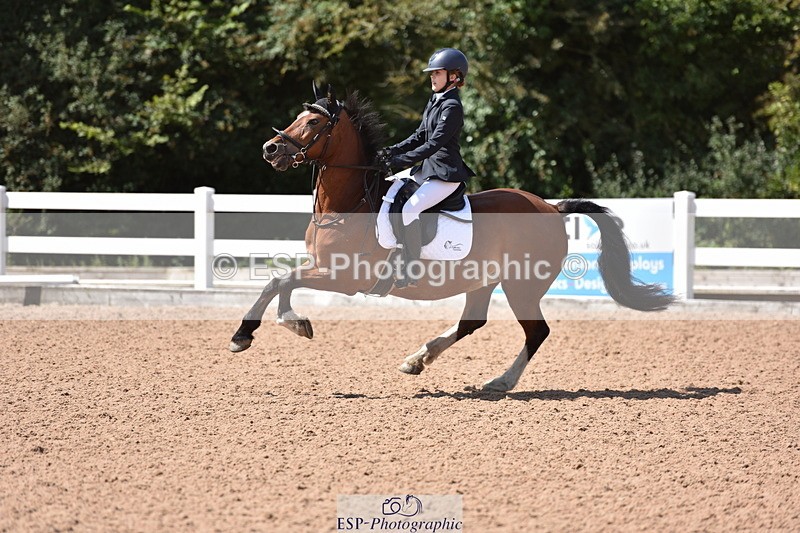 230806A-121516-01742 - Cls 19 Pony British Novice & 80cm Open