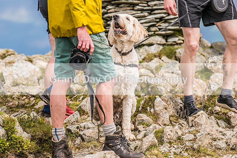 10 in 10-70 - 10 in 10 Challenge(MS Society Charity Event) 'Dalehead' Saturday 22nd June 2024