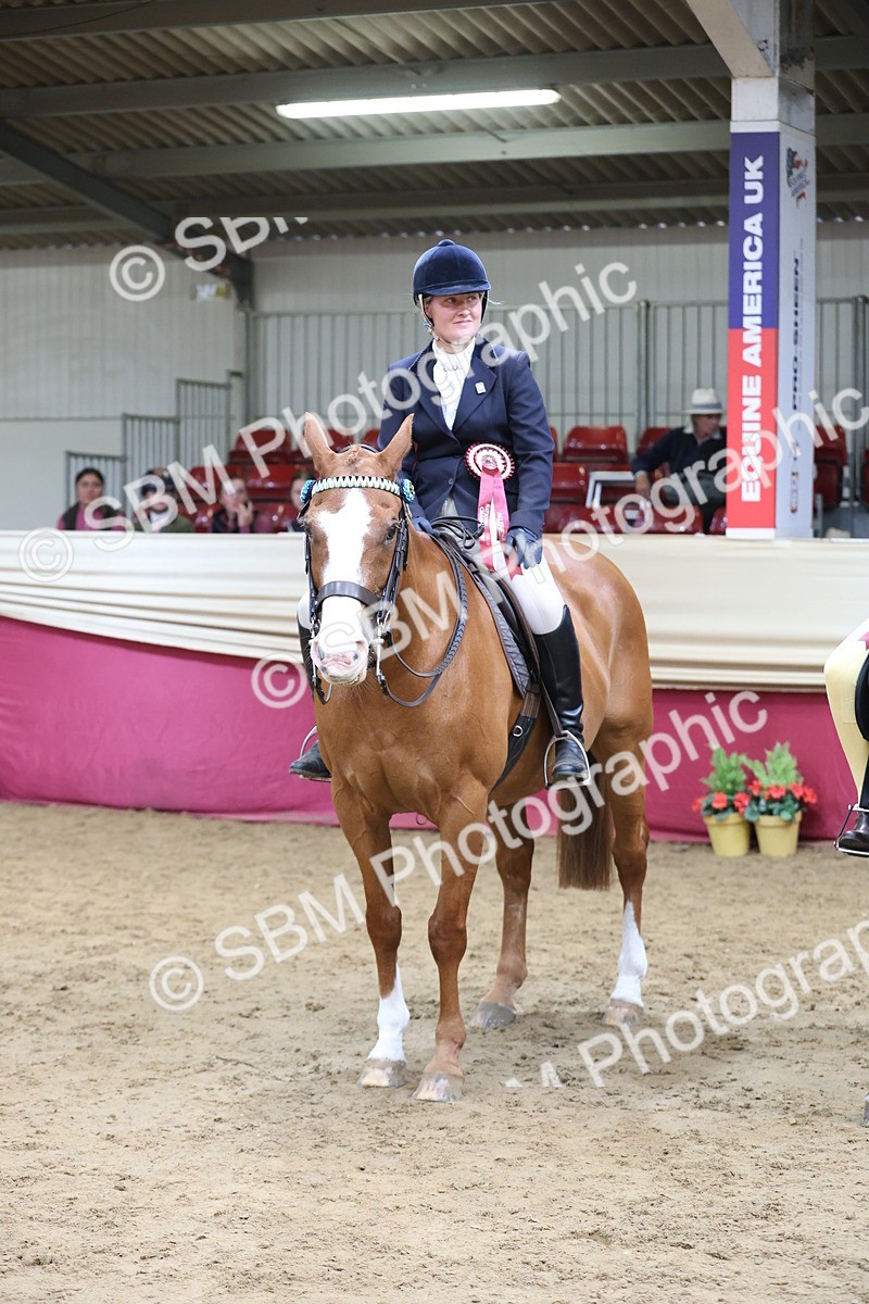 SBM_23253 - Class 905 - Supreme Final - Ridden Veteran