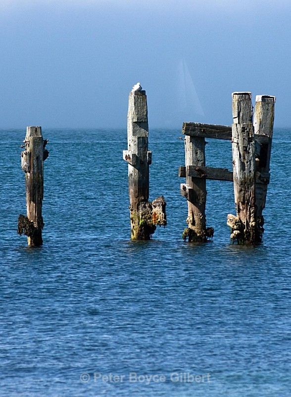 Ghost ship? - The Coast