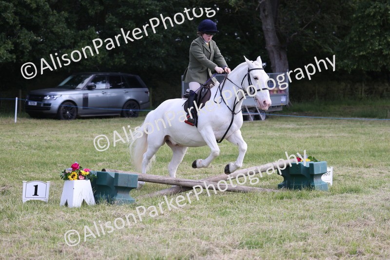20260614-0765 - Class 20 - Beginners Working Hunter Pony