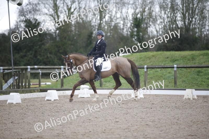 20260127-0110 - Class 15 - BD Prelim 2