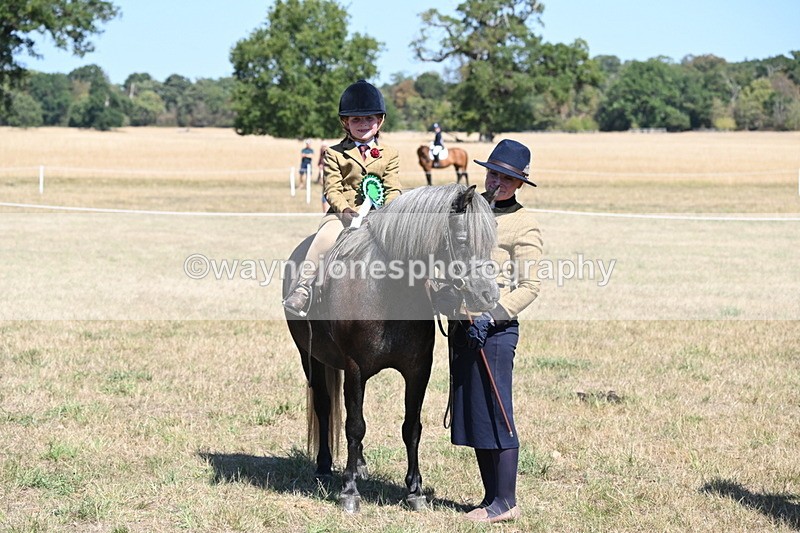 WJ6_8153 - Class 36 Lead Rein