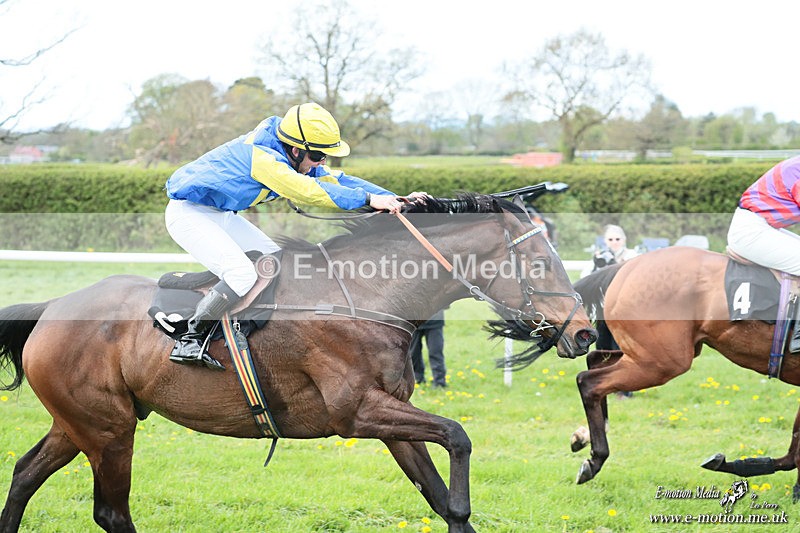 PtP 180426 128 - Worcestershire Hunt PtP Chaddesley Corbett 18/04/26