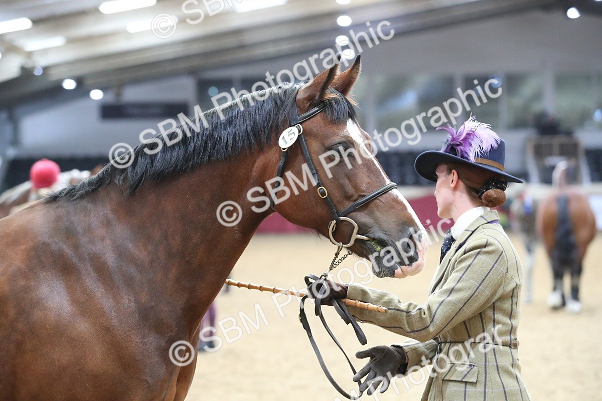 SBM_15325 - Class 501 M&M IH Supreme Final