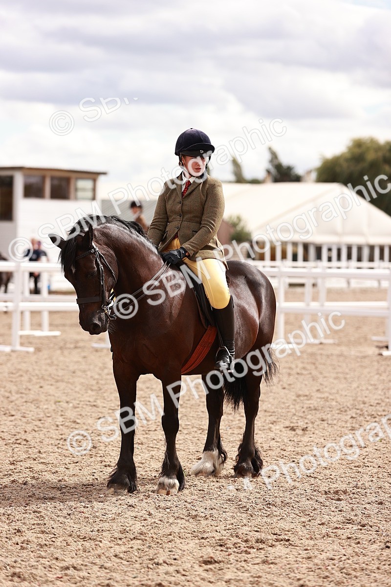 SBM_18385 - Class 418 - Best Condition - Jnr