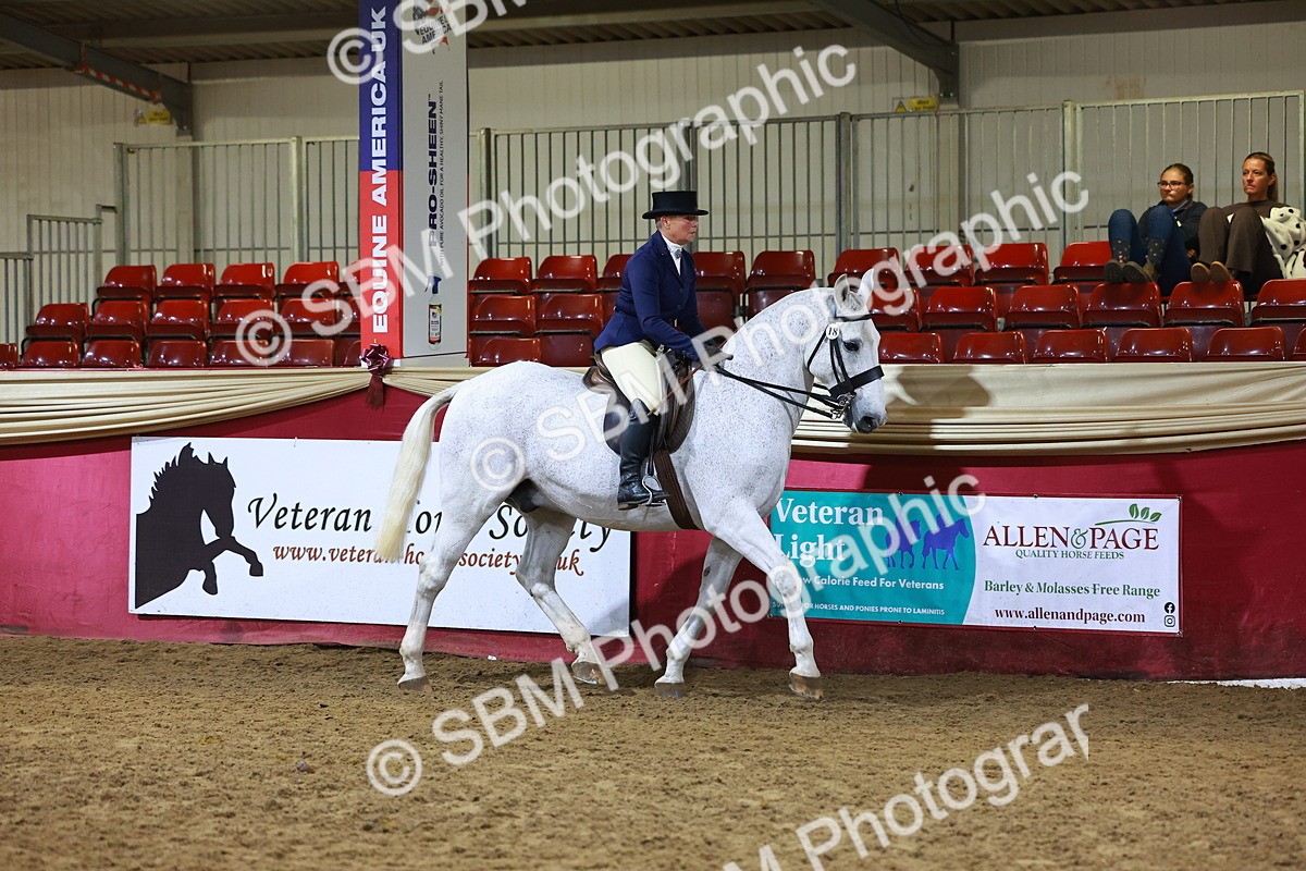 SBM_15376 - Class Q - Ridden Horse Champ