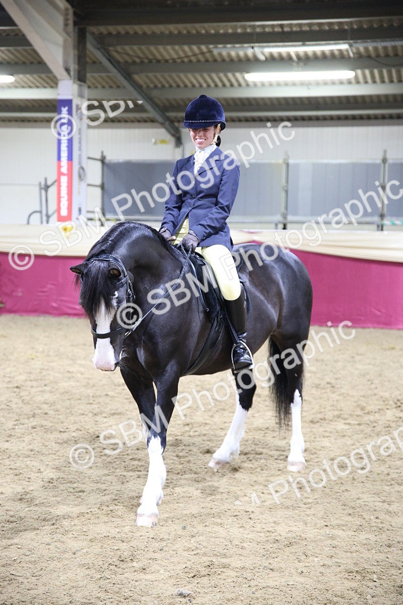 5K7A1609 - Class R Working Veteran Champ