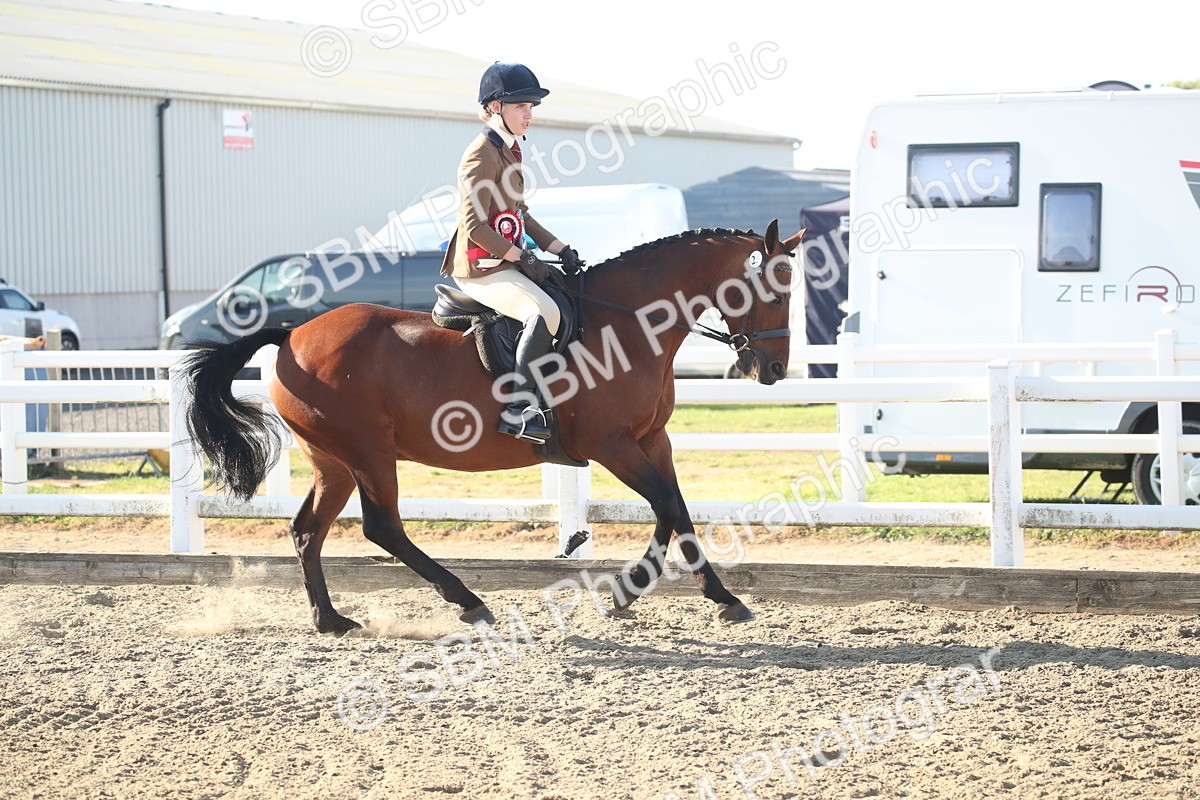 SBM_11598 - Class 502 - Riding Club Horse