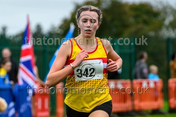 WestRLY25-923563 - Young Female Set Two