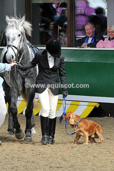 equiscot 3121 - NICOLA CAPPER