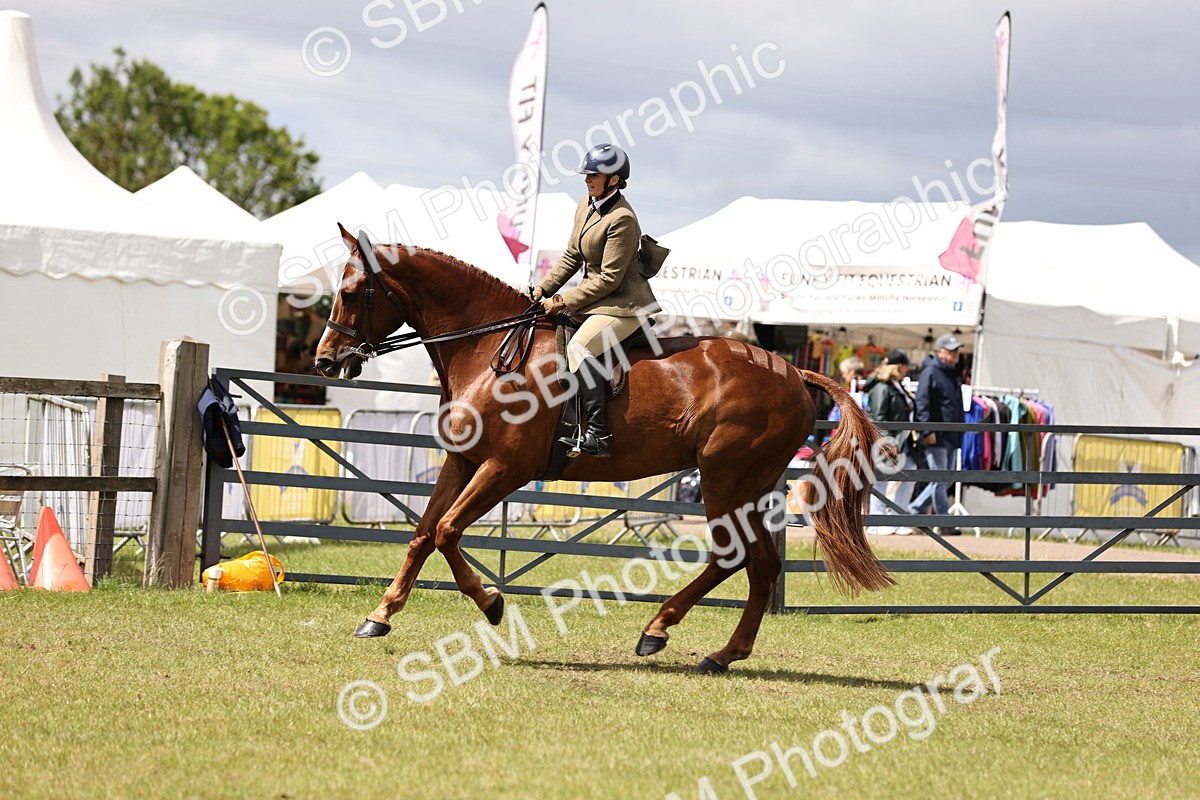SBM_14724 - Class 88-89 - LIHS BSHA Rising Star of Ridden Hunter Type