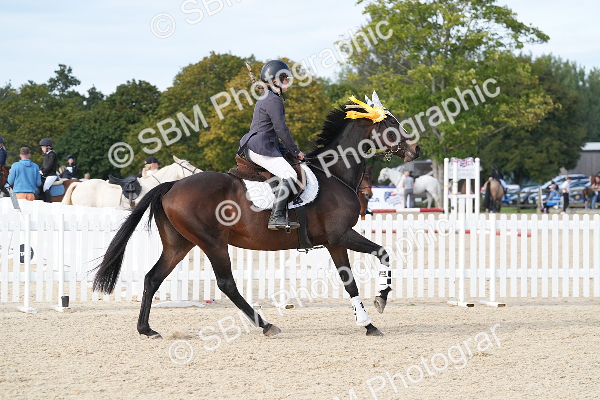 SBM_48920 - J22 - Junior Horse 65cm Championship