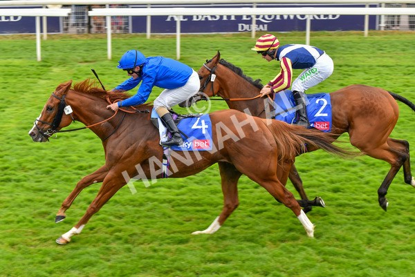 170623-Race 2-Wild Lion-7006 - Race 2 2.35pm Sky Bet Handicap