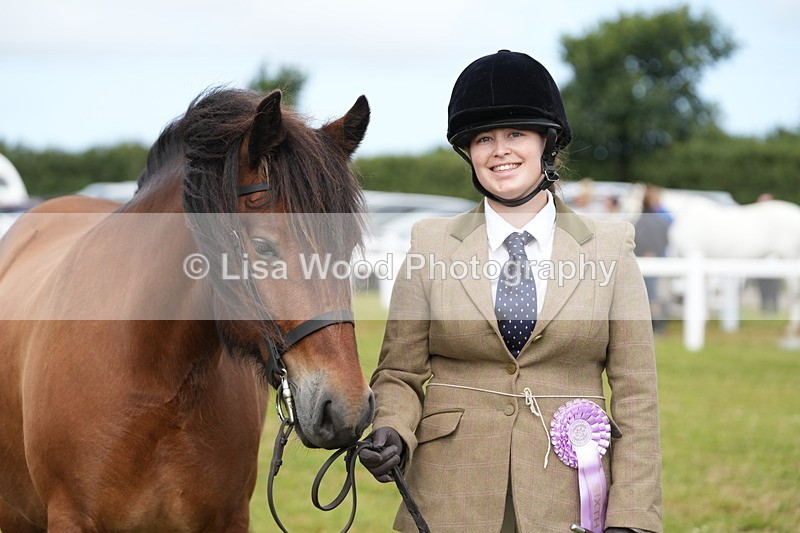 DSC05858 - Class 51: NPS M&M 4 years and over Large Breeds