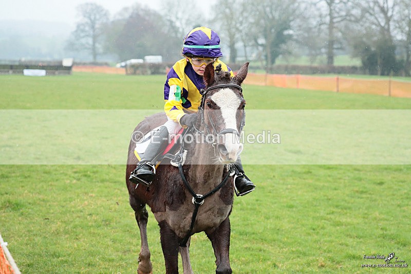 PtP 100324 133 - Pytchley with Woodland Point-to-Point Guilsborough 10/03/24