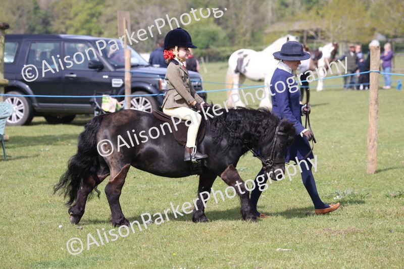20260426-0569 - Class 31 - Leading Rein