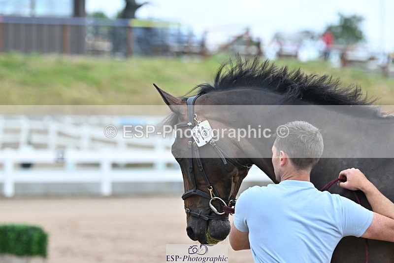 240717A-143259-02126 - Trot Up 2pm to 3pm - This folder is not in time order