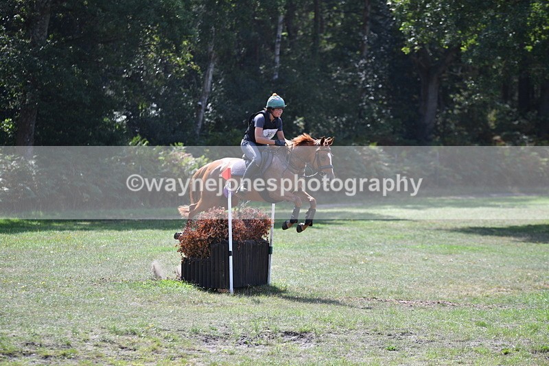 WJ5_2951 - XC Time 12:35 to 12:59