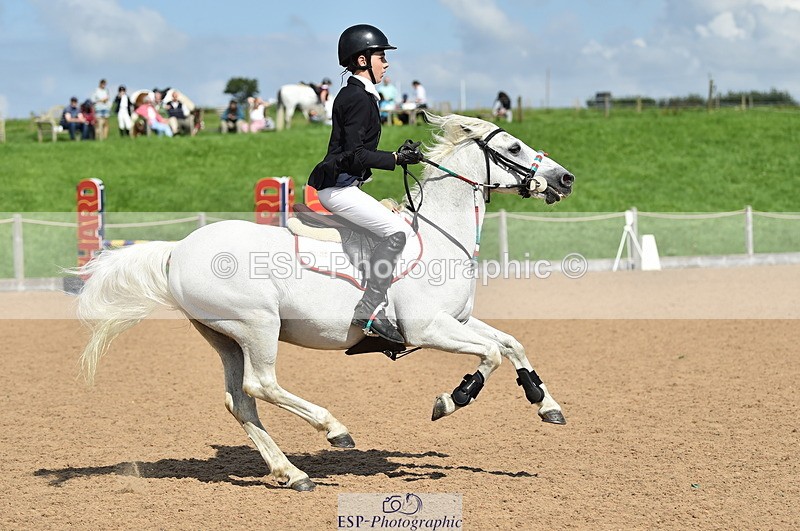 230902A-141120-01636 - Cls 3B Pony Medium 90cm