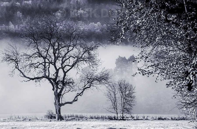 MARLFIELD AUTUMN FOG - MONOCHROME LANDSCAPES