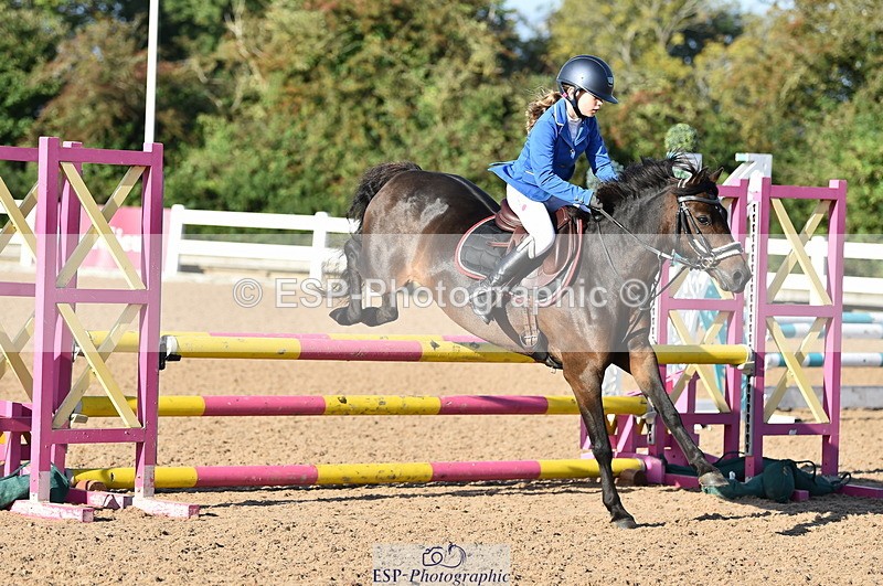 230903A-090204-03428 - Cls 17 Pony Intro 75cm