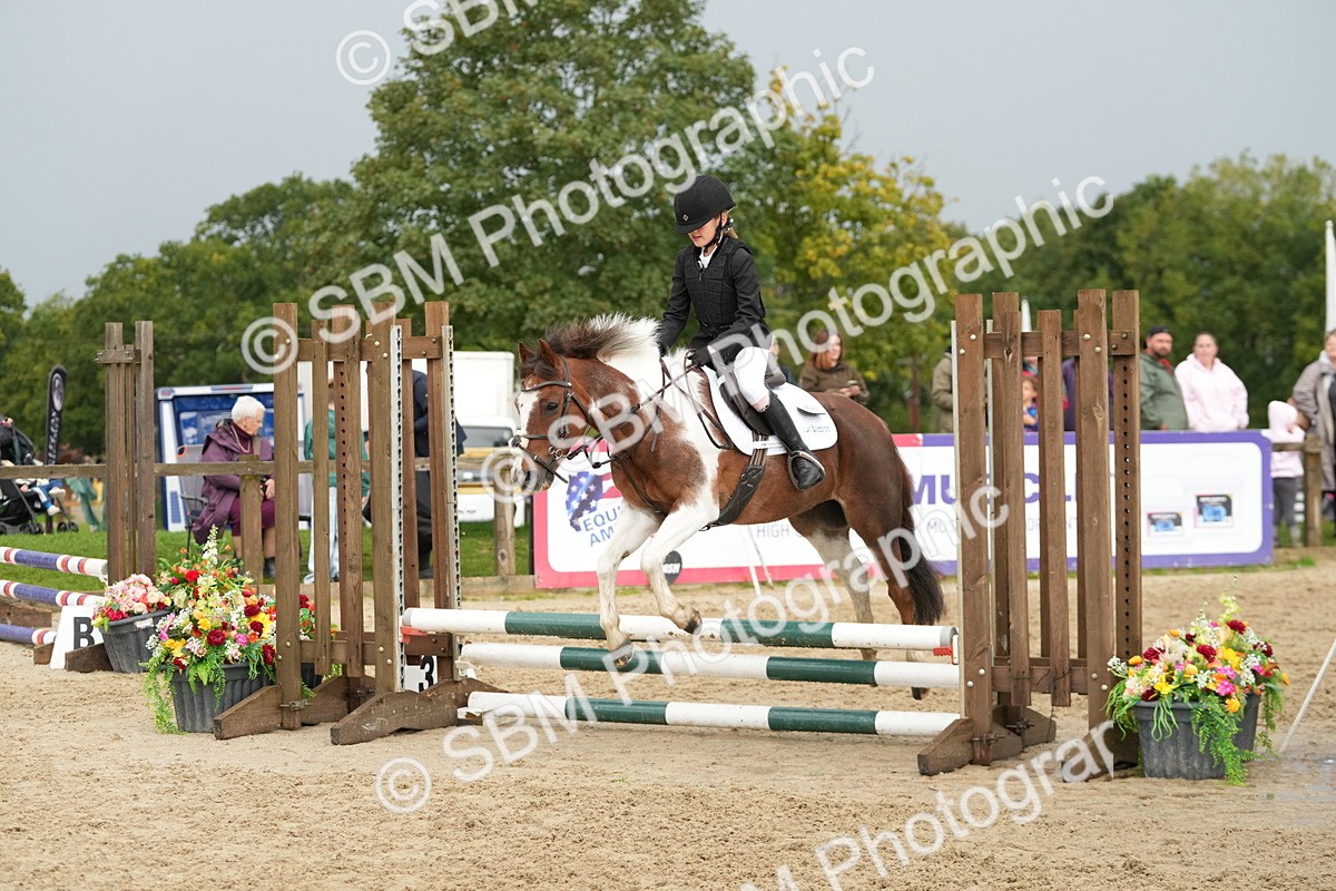 SBM_33465 - J5 - Junior Pony 50cm Championship