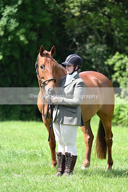 WJ7_1486 - Class 11 Condition & Turnout