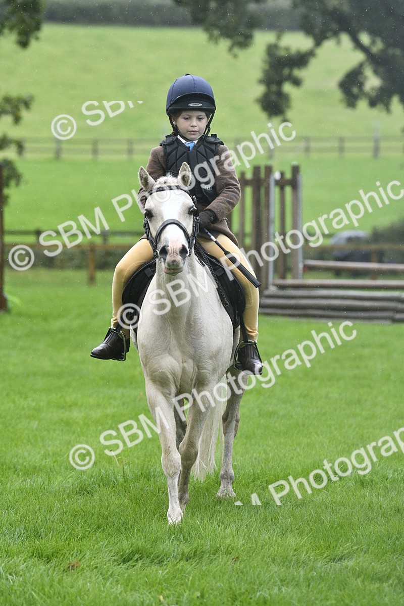 SBM_37148 - S31 - Novice & Newcomer Working Hunter Pony