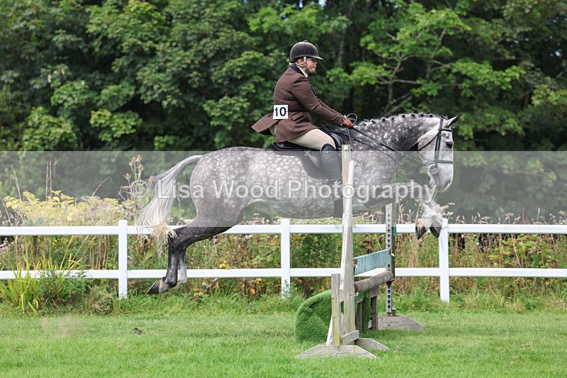 3E7A8858 - Class 6: Open Working Horse