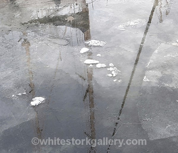  - NEW Winter Reflection