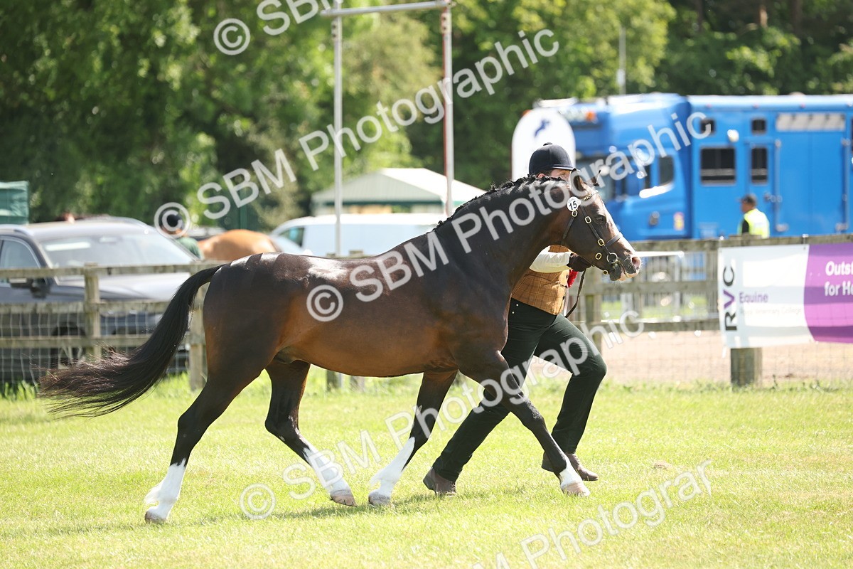 SBM_09124 - Class 31-32 - SSADL Members Challenge
