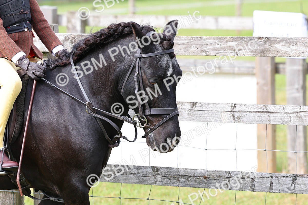 SBM_09626 - Class 44-45 - LIHS BSPS Open Nursery and Cradle Stakes