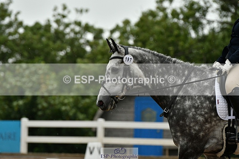 230708A-122811-01363 - Novice 23