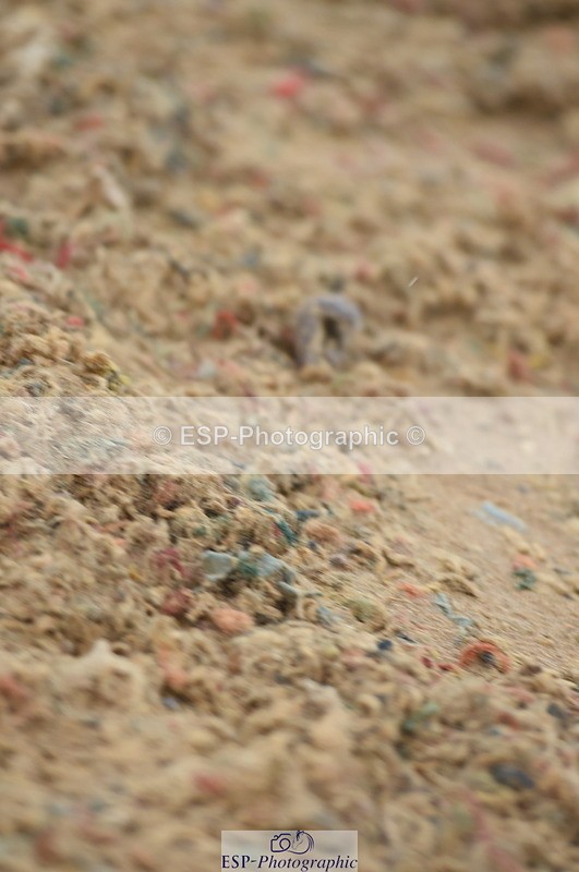 230916A-111024-03630 - Cls 21 British Novice & 90cm Open