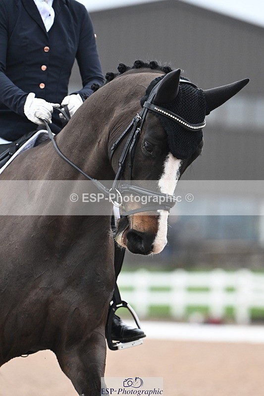 240217A-114154-02399 - 161-Katie.Warner-Active.Nuvalari