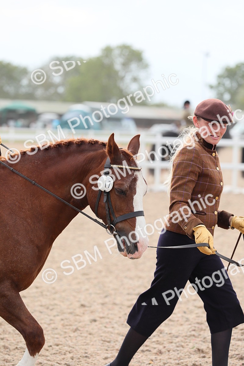 SBM_16887 - Class 314 Family Horse/Pony