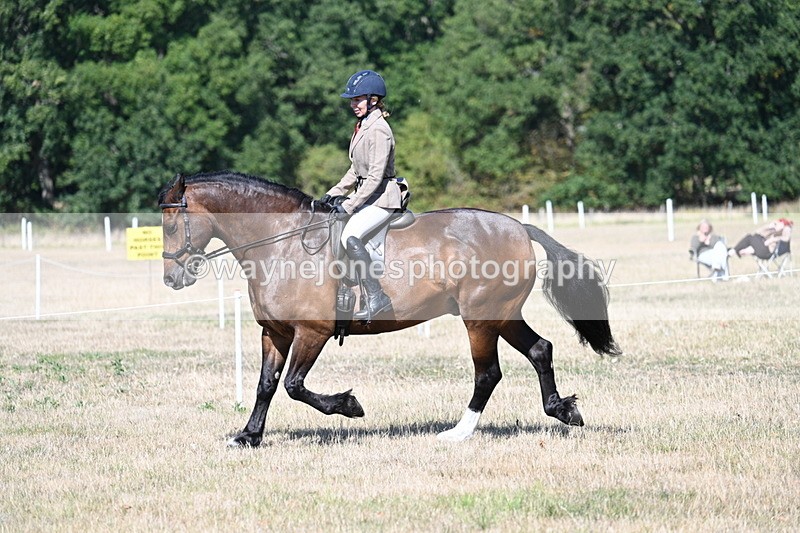WJ7_3918 - Class 9 Mountain & Moorland Ridden