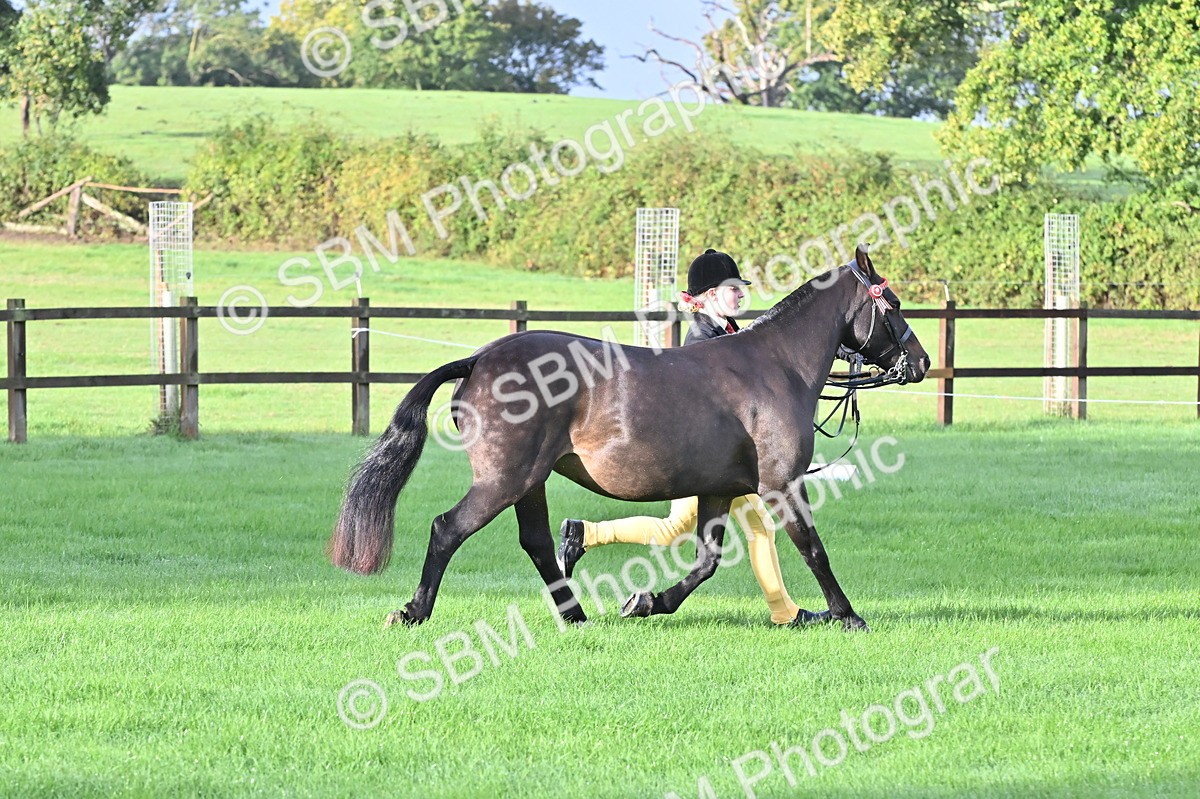 SBM_32611 - S15 - Top Turnout In Hand