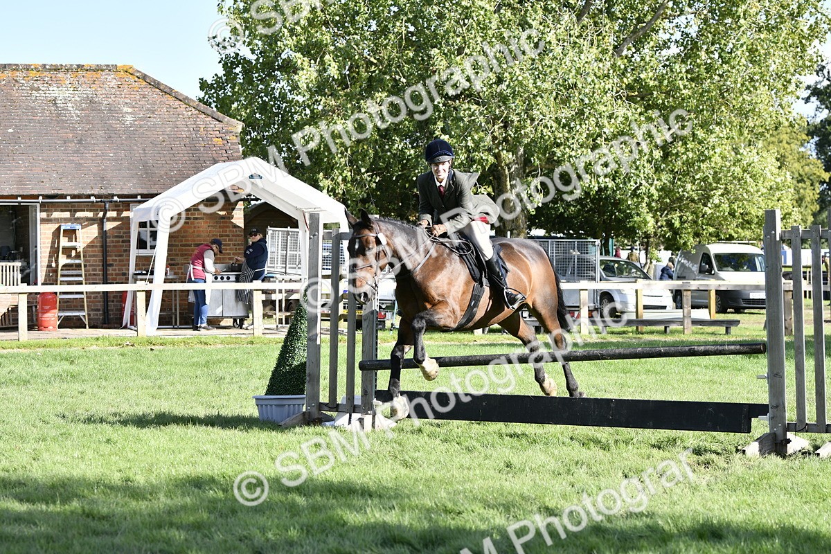 SBM_50051 - S34 - Novice & Newcomers Working Hunter