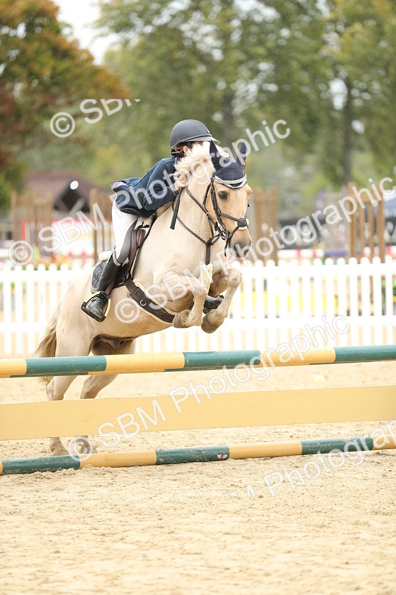 SBM_70198 - J15 - Junior Pony 70cm Championship