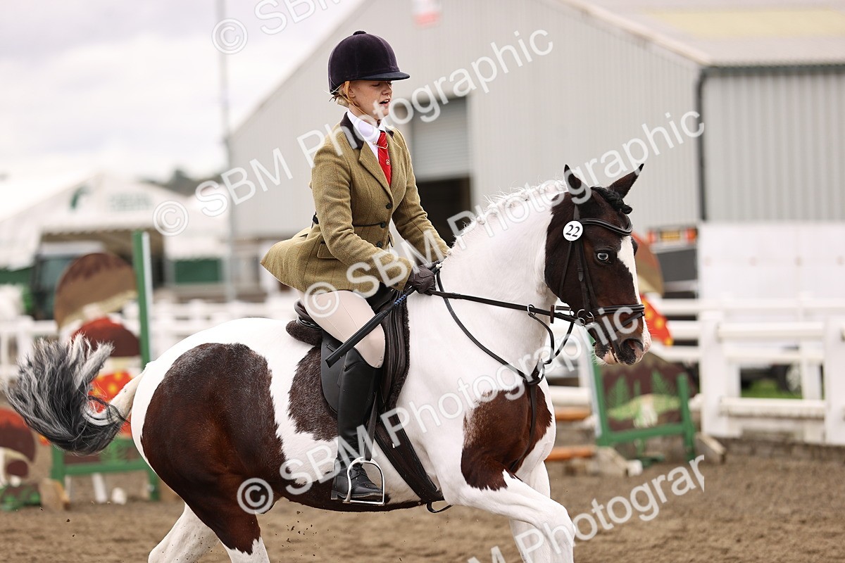 SBM_01419 - Class 54 - Riding Club Horse Pony